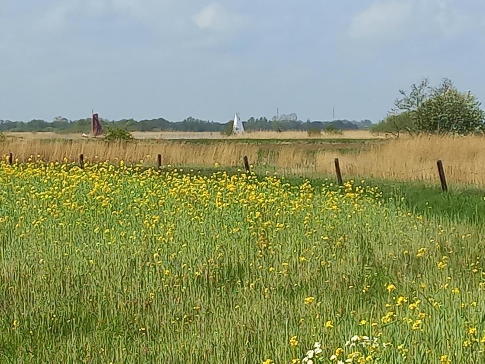 Eastay Oostermeer Esterno foto